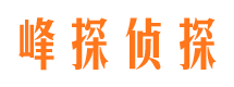 兴山市侦探公司